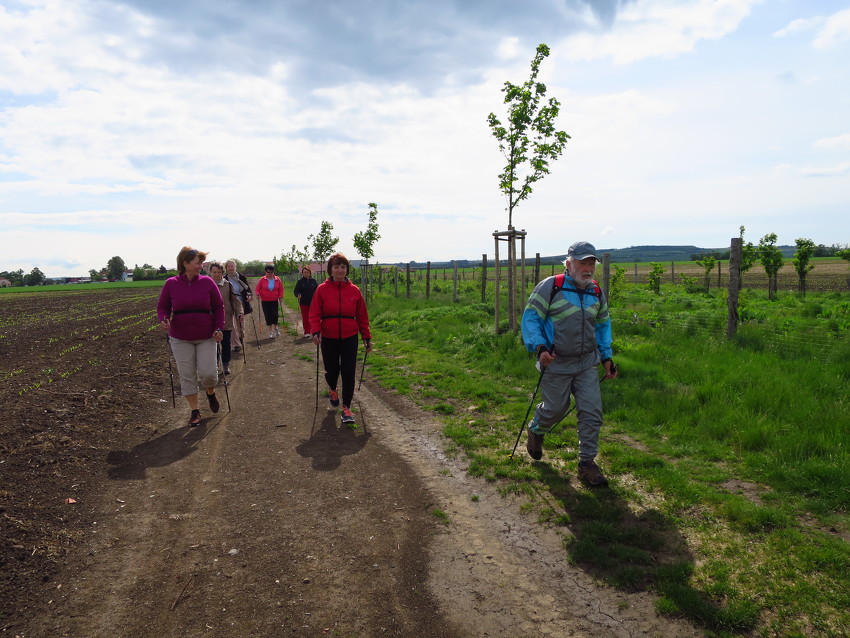 Nordic Walking baví i zajímá I